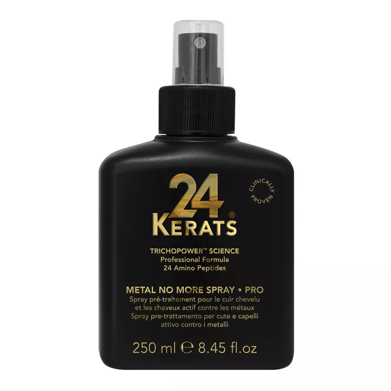 Metal No More Spray Pro